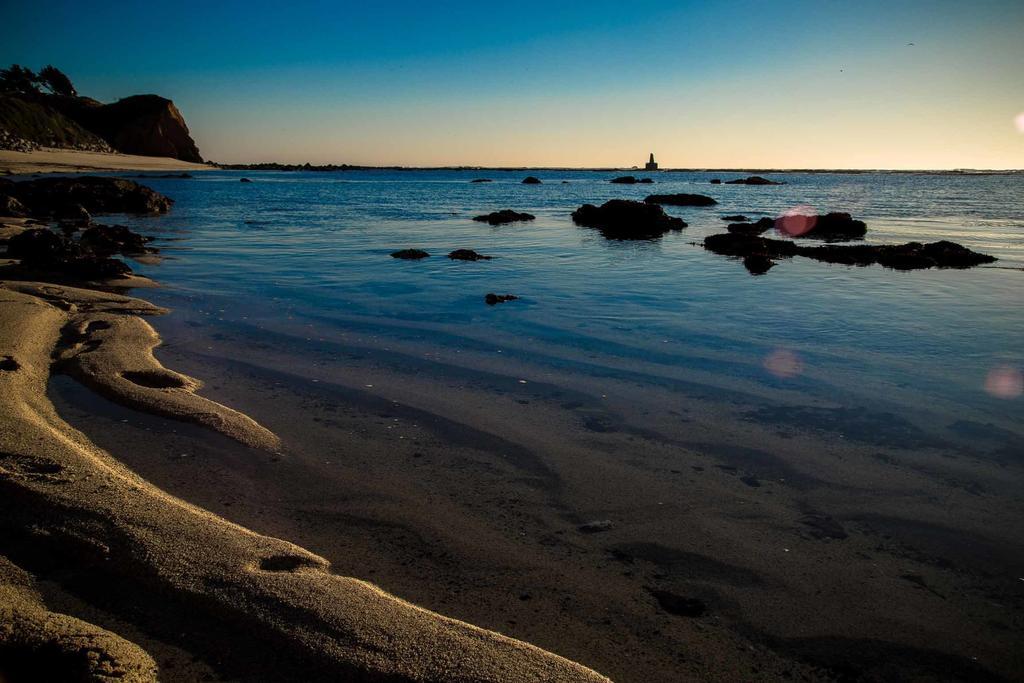 Seal Cove Inn Moss Beach Esterno foto