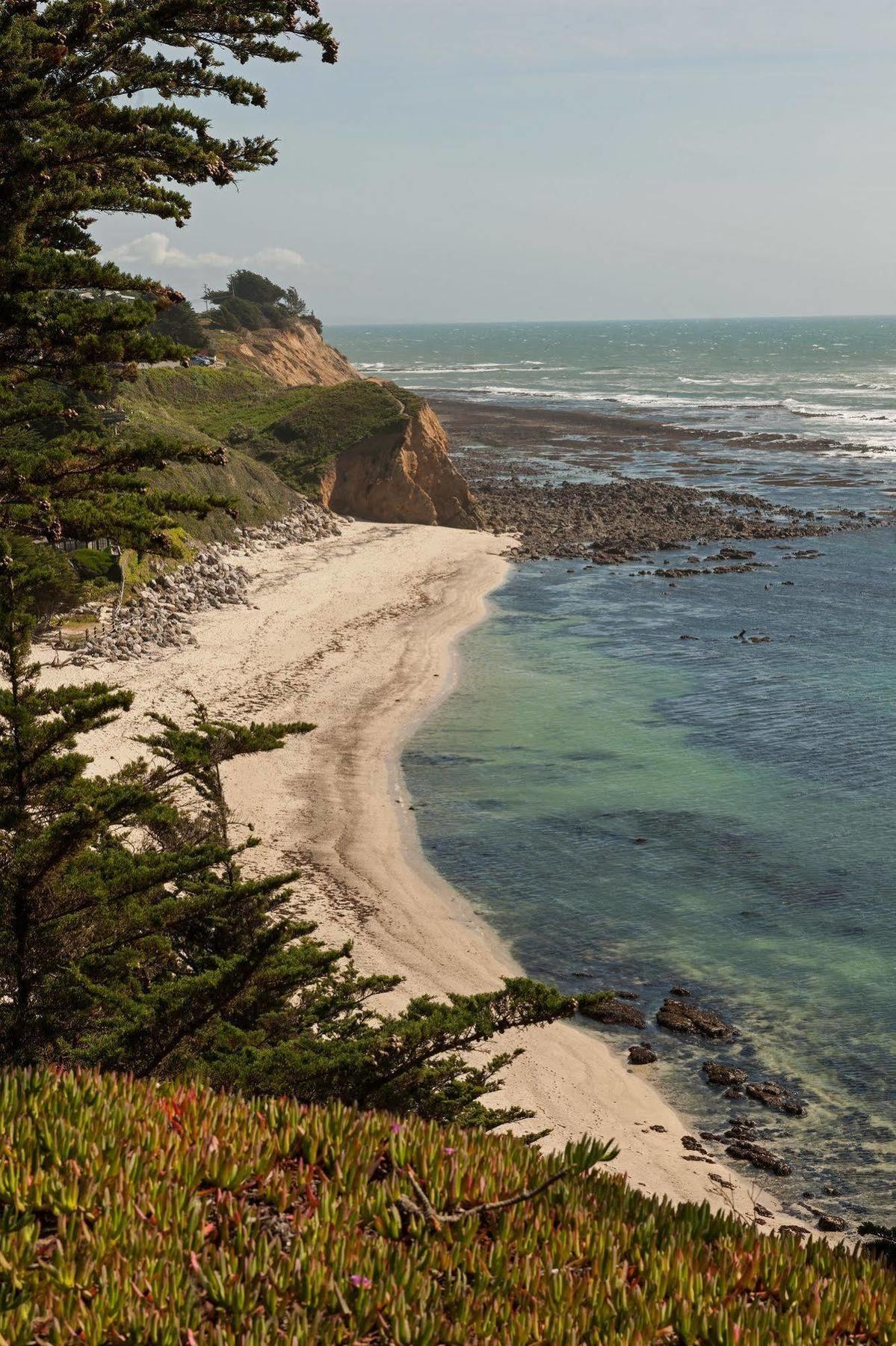 Seal Cove Inn Moss Beach Esterno foto