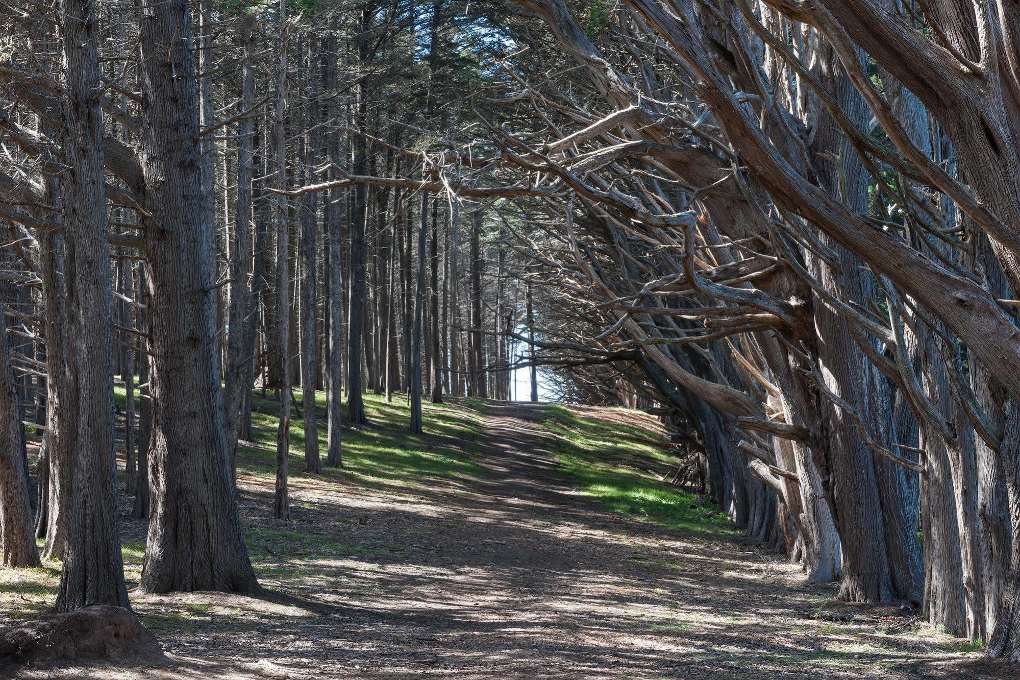 Seal Cove Inn Moss Beach Esterno foto