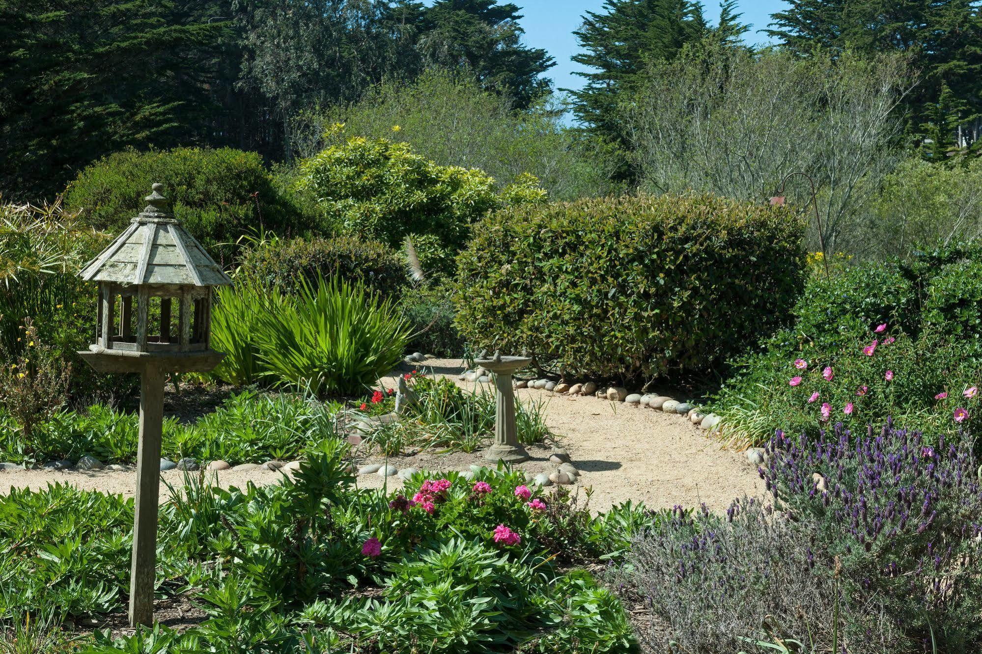 Seal Cove Inn Moss Beach Esterno foto